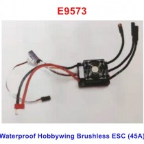 REMO EX3 Brushless ESC, Receiver E9573