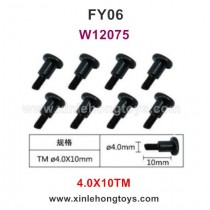 Feiyue FY06 Parts 4.0X10TM Hexagonal T Head Screws W12075