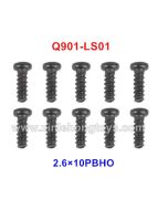 XinleHong Q901 Parts Screw Q901-LS01