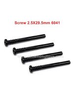 SCY 16101/16102/16103/16201 Parts Screw 2.5X29.5mm 6041