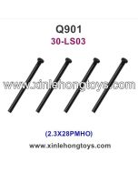 XinleHong Toys Q901 Spare Parts Screw 30-LS03