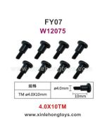 Feiyue FY07 Parts 4.0X10TM Hexagonal T Head Screws W12075