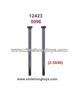 Wltoys 12423 Parts Screw 0096