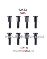 Wltoys 12423 Parts Screws 0099