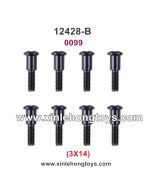 Wltoys 12428-B Parts Screws 0099