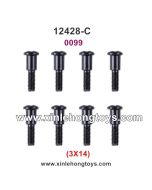 Wltoys 12428-C Parts Screws 0099