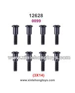 Wltoys 12628 Parts Screws 0099