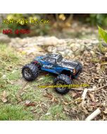 XinleHong Q901 1/16 brushless 2.4g 4wd rc monster truck