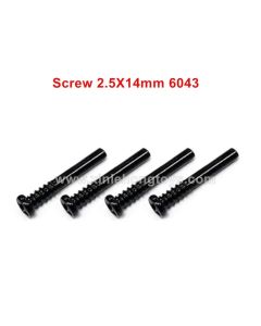 Suchiyu SCY 16101/16102/16103/16201 Parts Screw 2.5X14mm 6043