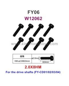 Feiyue FY06 Parts Screws W12062