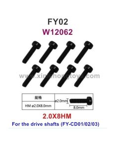 Feiyue FY02 Parts 2.0X8HM Hexagonal Cup Head Screws W12062