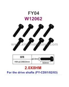 Feiyue FY04 Parts Screws W12062