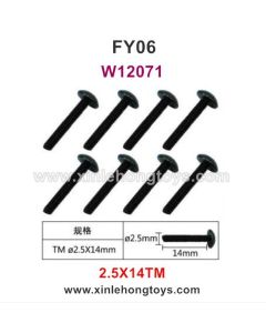 Feiyue FY06 Parts 2.5X14TM Hexagonal T Head Screws W12071
