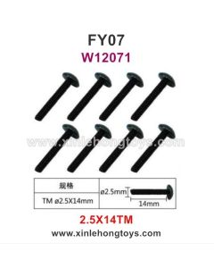 Feiyue FY07 Parts 2.5X14TM Hexagonal T Head Screws W12071