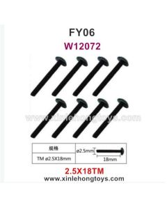 Feiyue FY06 Parts Screws W12072