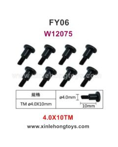 Feiyue FY06 Parts 4.0X10TM Hexagonal T Head Screws W12075