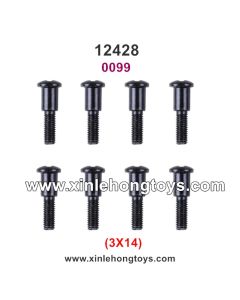 Wltoys 12428 Parts Screws 0099