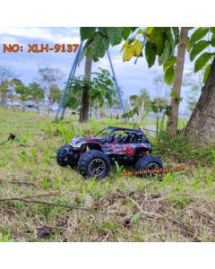 Xinlehong toys 9137 rc racing car