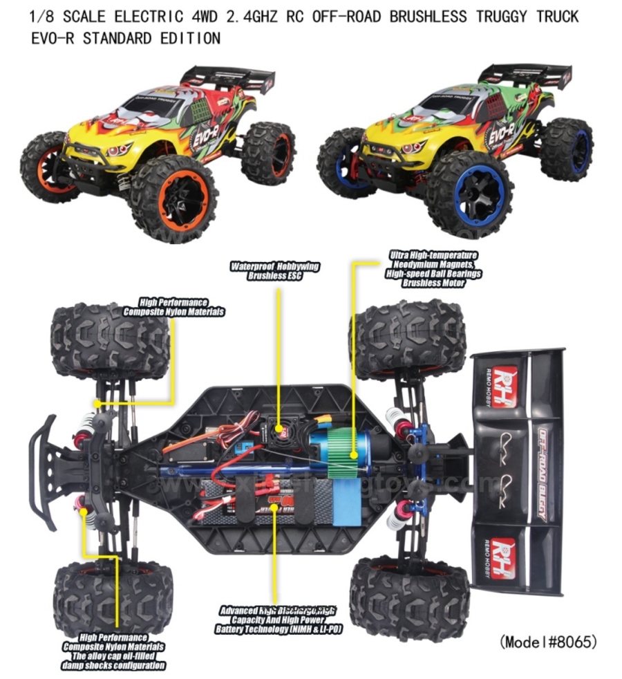 REMO HOBBY 8065 Evo-R